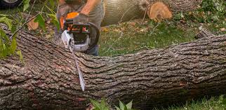 Mulching Services in Manorhaven, NY
