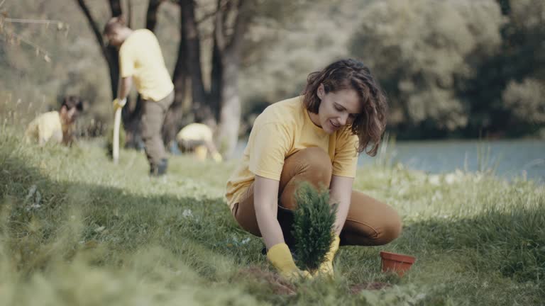 Best Root Management and Removal  in Manorhaven, NY